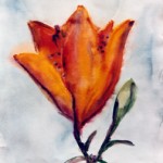 Brandlilja