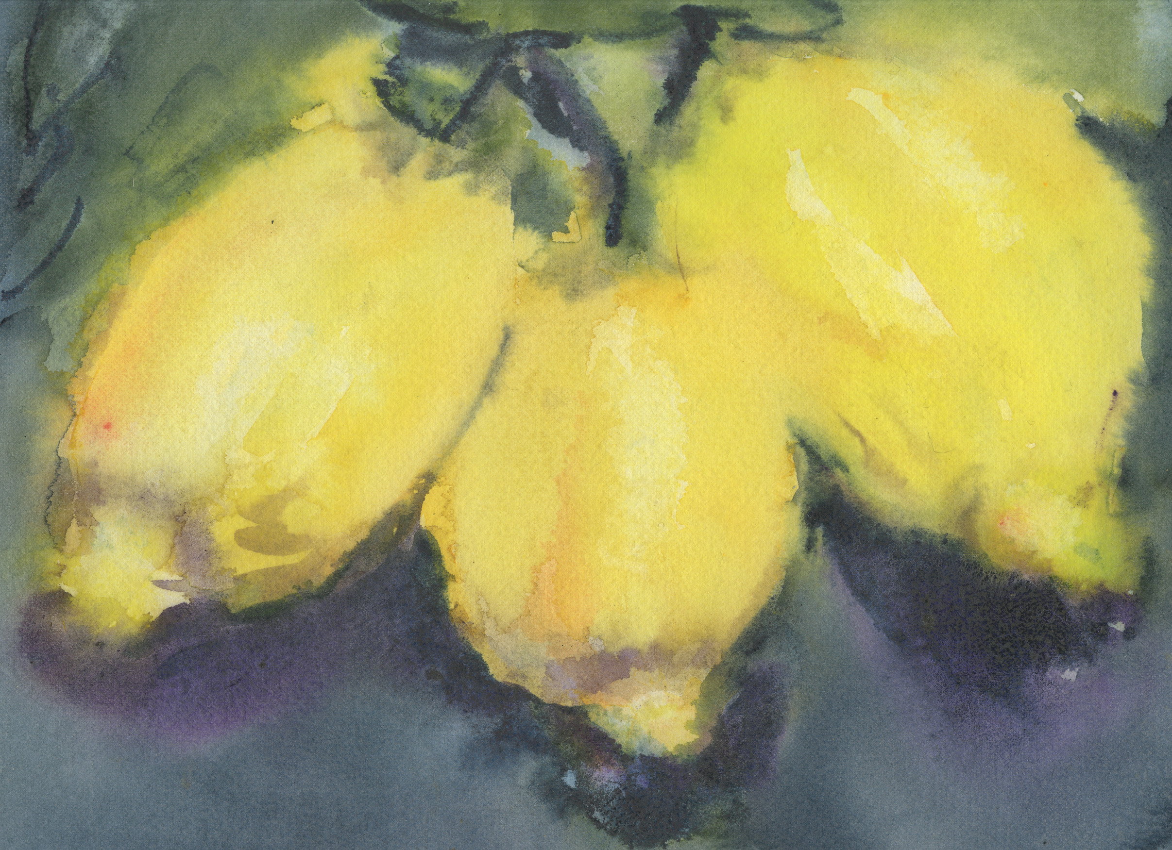 citroner