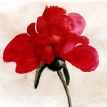 Pion 1
