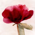 Pion 2